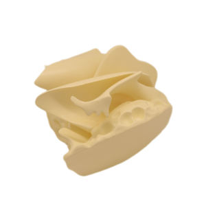 <span class=keywords><strong>Model</strong></span> Kerangka Pengajaran Manusia <span class=keywords><strong>Model</strong></span> Ekspansi Tulang Belakang <span class=keywords><strong>Model</strong></span> Tulang <span class=keywords><strong>Temporal</strong></span> dengan Ukuran Alami Pvc - Product Image 3