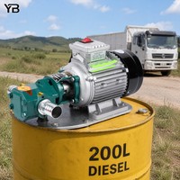 WCB 30 Gusseisen-Zahnradölpumpe 30 LPM 0,3 MPa 0,75 KW Legierungsstahl-Zahnrad-Dieseltransferpumpe 2800 U/min Mit Motor