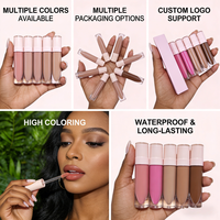 Gloss à lèvres végétalien populaire, brillant, waterproof, longue tenue, hydratant, haute pigmentation, rouge à lèvres liquide minéral, vente en gros
