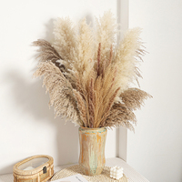 Grosir besar berbulu coklat Pampas rumput Reed buket bunga alami vas untuk teras luar ruangan bunga dekoratif