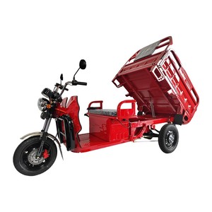 Triciclo NC05 EEC COC Xiamen 3plus Technology Co Ltd de Carrocería Abierta de 1000W para Adultos - Product Image 6