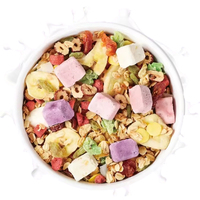 Wholesale 400g Instant Chia Seed Strawberry Yogurt Oatmeal Cereals with Baked Nuts and High Protein for Food & Beverage