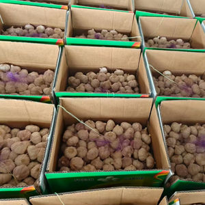 China Alho Fresco Ail Ajo Alho para Preço de Atacado Alho Branco Fresco Em Pó Exportadores Ideal para Importação - Product Image 1