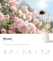 Diffuseur d'arômes en céramique avec bâtonnets, vase, bouteille de fleurs, huile parfumée, coffret cadeau 30 ml, écologique, sans phtalates, sans parabènes, parfum