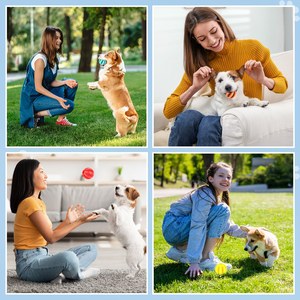 Jouet pour chien, balle en caoutchouc souple durable interactive, jouets à mâcher pour chiots et chats, distributeur de nourriture pour chien, balle de nettoyage des dents, balle d'entraînement IQ - Product Image 5