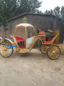 Venta de fábrica, carruaje de boda real eléctrico, carruaje de caballos de calabaza, nueva energía, Buggy de cenicienta en alquiler - Product Image 4
