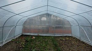 كبير نفق البلاستيك الدفيئة الزراعية PE فيلم حار بيع نظام استزراع مائي المسببة للاحتباس الحراري عن الطماطم - Product Image 4