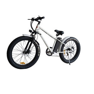Bicicleta Eléctrica Económica de 26 Pulgadas y 250w con Certificación CE, Neumáticos Anchos para Playa y Nieve, Cuadro de Acero, Modelo BN-FM01A/BN-FM01S - Product Image 1