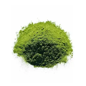 High quality wheat grass juice powder wheat grass powder