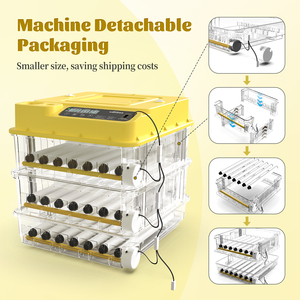 Incubateur <span class=keywords><strong>automatique</strong></span> WONEGG HHD 72 œufs Mini Chick Master avec plateau de retournement des œufs à vendre - Product Image 5