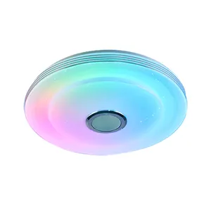 Rich ODM experience RGB intelligent ceiling lamp led ceiling light with bluetooth music speaker