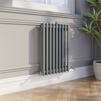 Avonflow vente en gros petite colonne 2 radiateur chauffage de l'eau radiateur radiateurs de chauffage muraux pour la maison avec revêtement en poudre