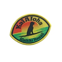 Logo personnalisé patchs thermocollants patchs lettres à coudre pour vêtements tissés 3d broderie crochet et boucle patchs tissés