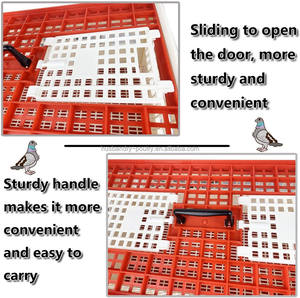 Gabbia per il Trasporto di Pollame per Polli, Colombi e Uccelli - Product Image 4