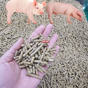 Máquina de pellets de alimentación de animales de cerdo a precio de fábrica LIMA con motor diésel 100 kg/H Mini máquina peletizadora para alimentación de aves de corral Ghana - Product Image 3