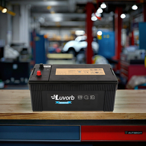 Batería <span class=keywords><strong>de</strong></span> Automóvil <span class=keywords><strong>de</strong></span> Ciclo Profundo Luvorb SMF MF AGM <span class=keywords><strong>de</strong></span> Plomo-Ácido, 12V 70Ah 75Ah N70L para Vehículos Eléctricos, Montacargas Eléctricos - Product Image 2