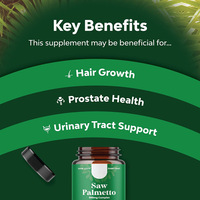 Paquet OEM Saw Palmetto 60 capsules de soutien de santé urinaire et de la prostate Capsule de palmier à scier Saw Palmetto Baies