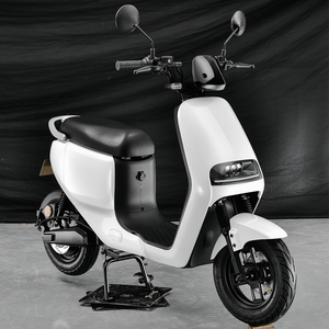 Motocicleta Eléctrica 2026 con Certificación EEC COC, Batería de Litio de 48V 800W, Velocidad de 25-55 km/h, para Adultos - Product Image 1