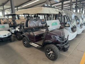 电动四座高尔夫球车 30-50公里/小时 90公里续航里程 - Product Image 3