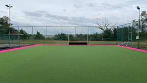 Césped Artificial Sintético Verde para Hockey Aprobado por la FIH, Campo de Hockey <span class=keywords><strong>Azul</strong></span> para Exteriores - Product Image 3