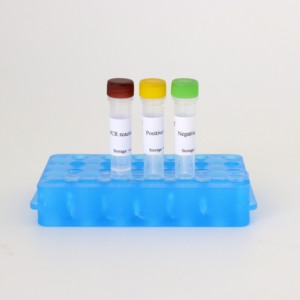 ชุดทดสอบสารเรืองแสง PCR -20 ℃ สำหรับตรวจวินิจฉัยทางสัตวแพทย์50T - Product Image 2