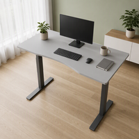 Structure de bureau assis-debout avec double moteur |   Base de bureau électrique réglable en hauteur, robuste, pour le bureau