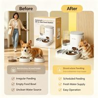 Distributeur automatique de nourriture et d'eau pour animaux de compagnie, double fonction, bol pour nourriture et eau pour chats et chiens, tout en un, accessoires d'alimentation pour animaux