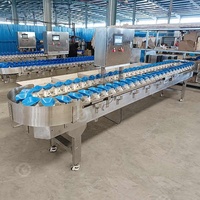 Volaille vivante grand gros poisson Tilapia pesant trieur de tri à grande vitesse pieds de poulet équipement de machine et convoyeur