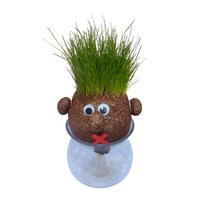 Mr. Tête de pomme de terre herbe poupée pour enfants jouet éducatif et cadeau