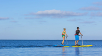 Planche à pagaie gonflable Waterbike avec système de propulsion par pédale