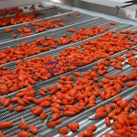 Machine de séchage des légumes et des fruits, machine de séchage à pompe à chaleur pour les raisins, les baies de goji