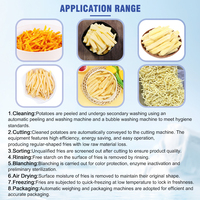 Automatische 1000kg/uur productielijn voor frites, op basis van verse aardappelmeel, voor landbouwbedrijven en thuisproductie.