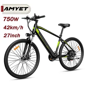 Mỹ Nhiệm Vụ Chứng Khoán Miễn Phí 27 Inch Chất Béo Lốp Điện Xe Máy Xe Đạp 48V 750W 42 Km/H Xe Đạp Xe Đạp Điện