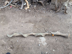 <span class=keywords><strong>Aquarium</strong></span> décoratif en bois de manga, ouvert avec bois naturel, de chine - Product Image 4