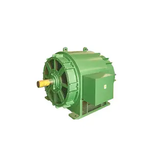 hydro power generator/high voltage motor/pelton turbine