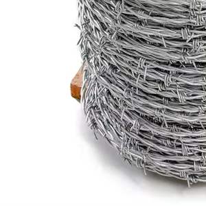 Alambre de Púas Galvanizado por Inmersión en Caliente para Cercas de Seguridad/Alambre de Púas para Cercas - Product Image 1