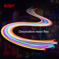 Projet de fontaine de piscine étanche à l'eau LED Neon Flex DMX SPI Adressable WS2811 Smart Pixel RGBIC LED 10*10mm