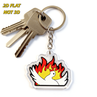Porte-clés en acrylique Flaming Dove, découpé, oiseau de la paix aux ailes de feu, pour les gamers, les fans d'anime, les amateurs d'art symbolique, pendentif transparent et durable