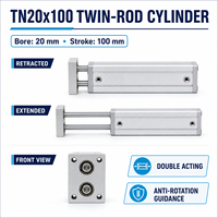Cylindre pneumatique à double tige TN20x100, double action, alésage 20 mm, course 100 mm, actionneur guidé anti-rotation, garantie 1 an