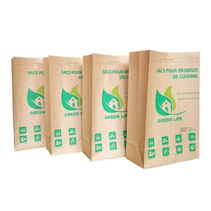 100%Eco-friendly Material Certified PLA Compostable Biodegradable Paper Bag