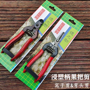 Ciseaux d'élagage Tokunosuke, manche en plastique rouge, tête incurvée, outil d'élagage en acier inoxydable pour raisin, tomate, fleur, 5-10 mm - Product Image 3