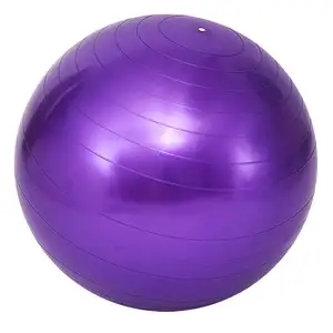 健身配件家用健身器材防爆裂PVC瑜伽球