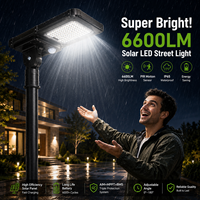 Lampadaire solaire LED tout-en-un 40W pour usage commercial et public, avec détecteur de mouvement et télécommande