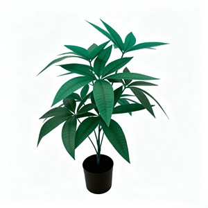 Follaje Vibrante Ovalado Fortune con Hojas Gruesas y Brillantes para Decoración de Entradas, Tiendas y Salas de Estar - Product Image 1