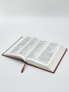 Bible Sainte Bible Nouvelle Version Internationale - Product Image 3