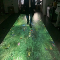 Nuevo y Original Software de Mapeo de Video con Chips IC para 8 Proyectores de Piso, ¿Cuánto Cuesta Beam Interactive? Garantía de 2 Años