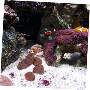 Pietre <span class=keywords><strong>di</strong></span> roccia lavica in ceramica per grandi acquari ecologici con caratteristiche naturali <span class=keywords><strong>di</strong></span> <span class=keywords><strong>ciclidi</strong></span> - Product Image 6
