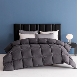 Couette matelassée 100% polyester hypoallergénique respirante pour l'automne et l'hiver, taille Queen, lavable en machine, 75D/36F - Product Image 1