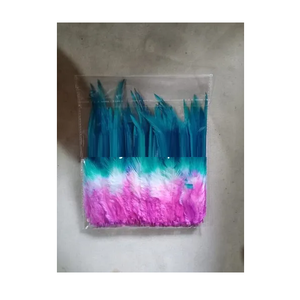 Plumes naturelles longues et pointues teintes en deux couleurs, parfaites pour les créations DIY, la confection de costumes, la décoration intérieure et l'élégance - Product Image 2