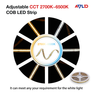 DC24V Tunable White COB LED Strip High Density Flexible LED Strip Light IP20 Remote Control RGBIC 2700K~6500K 5M - Product Image 3